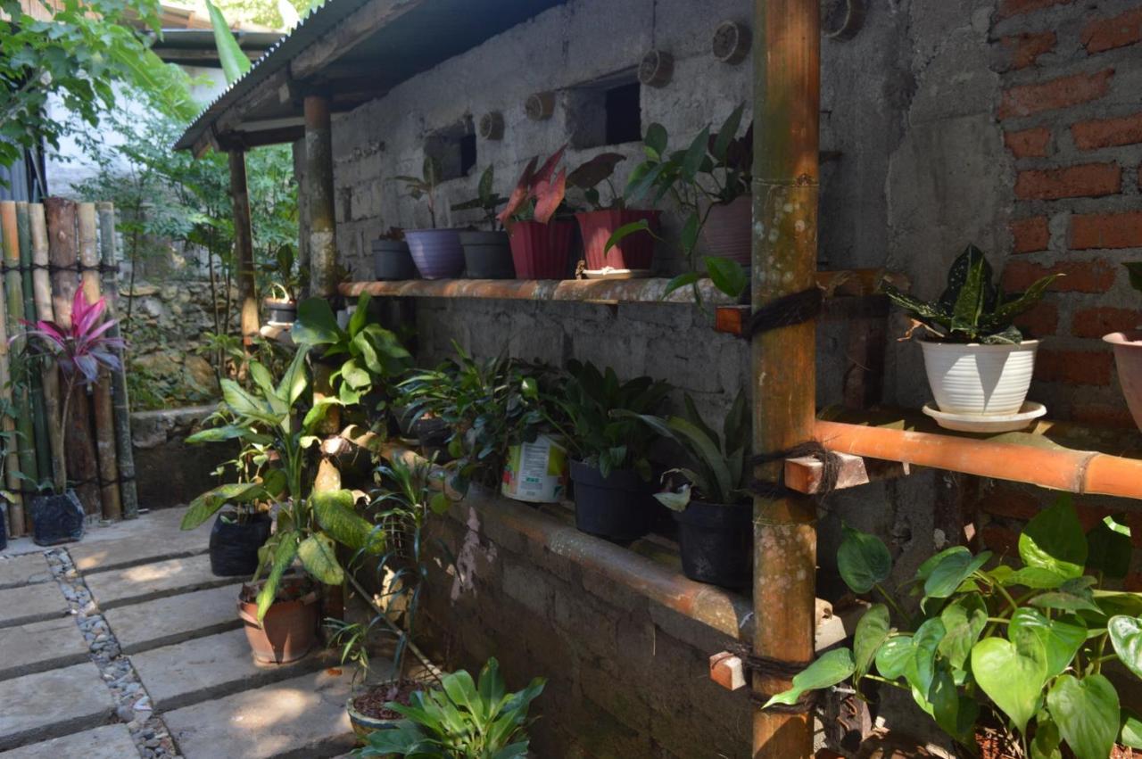 Labuan Bajo Mahoni Guesthouse Ngoại thất bức ảnh